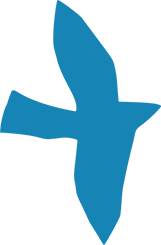 https://paultatlermusictherapy.com/wp-content/uploads/2022/01/floating_image_03_home_02-1.png